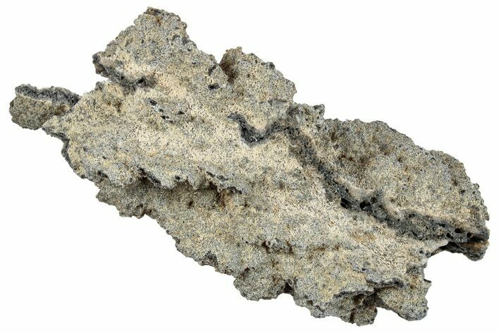 Fulgurite - Petrified Lightning #260179